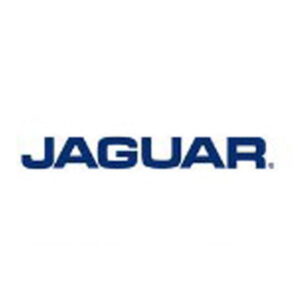 JAGUAR（ジャガー）