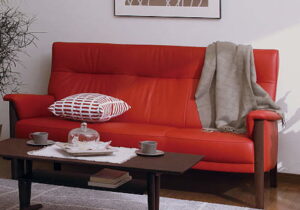 ソファーbest3_カラーリングが綺麗なタイプ