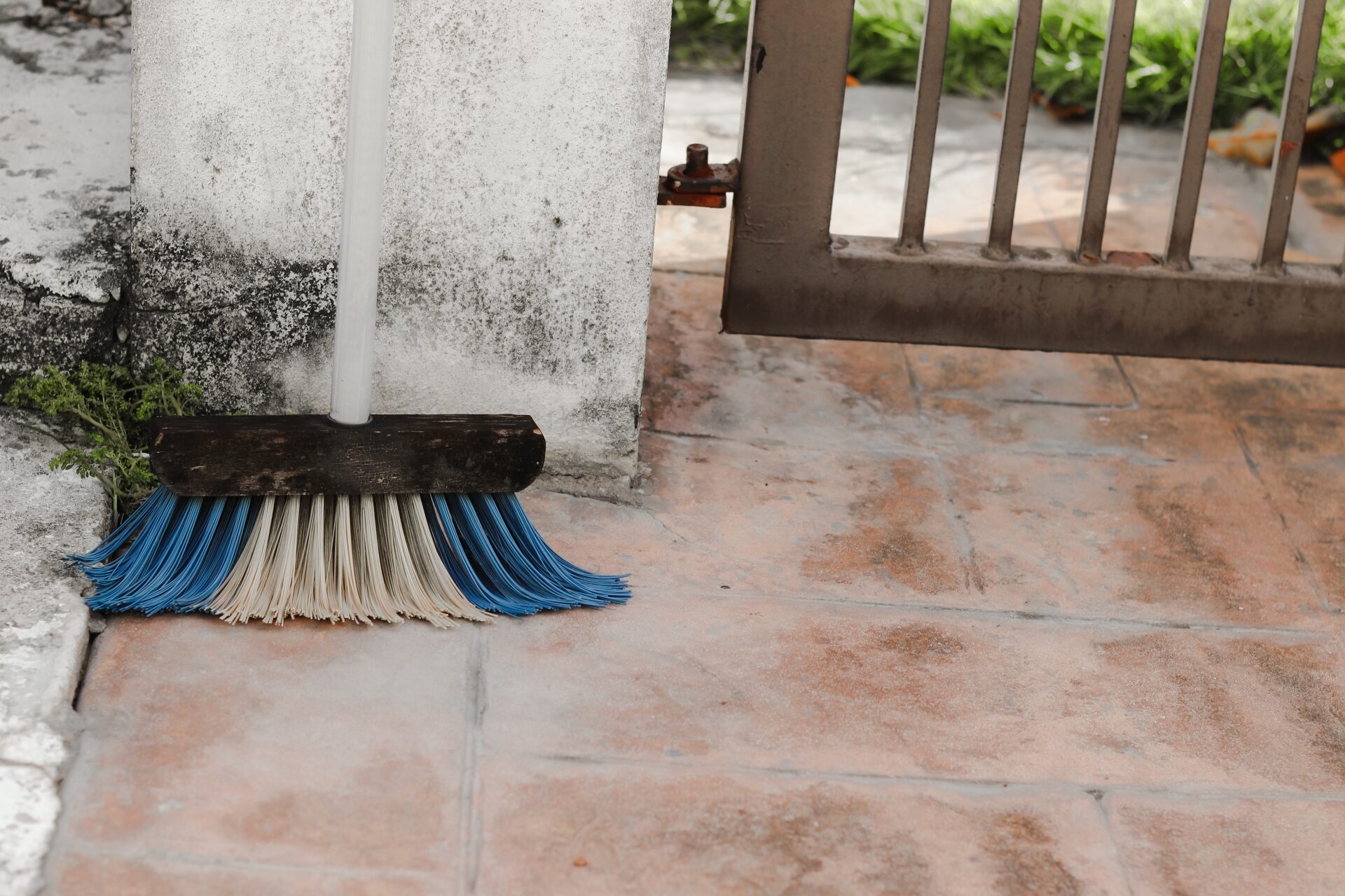 掃除用ほうき