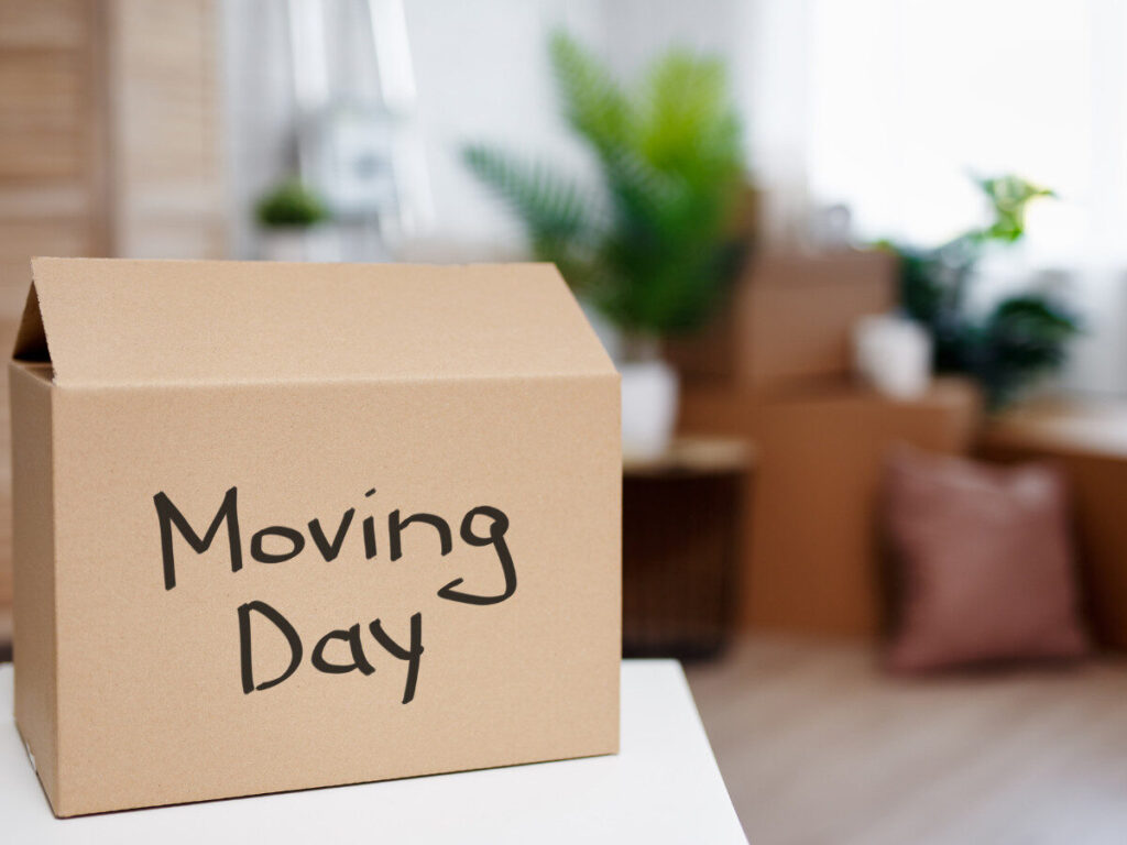 「Moving Day」と書かれたダンボール