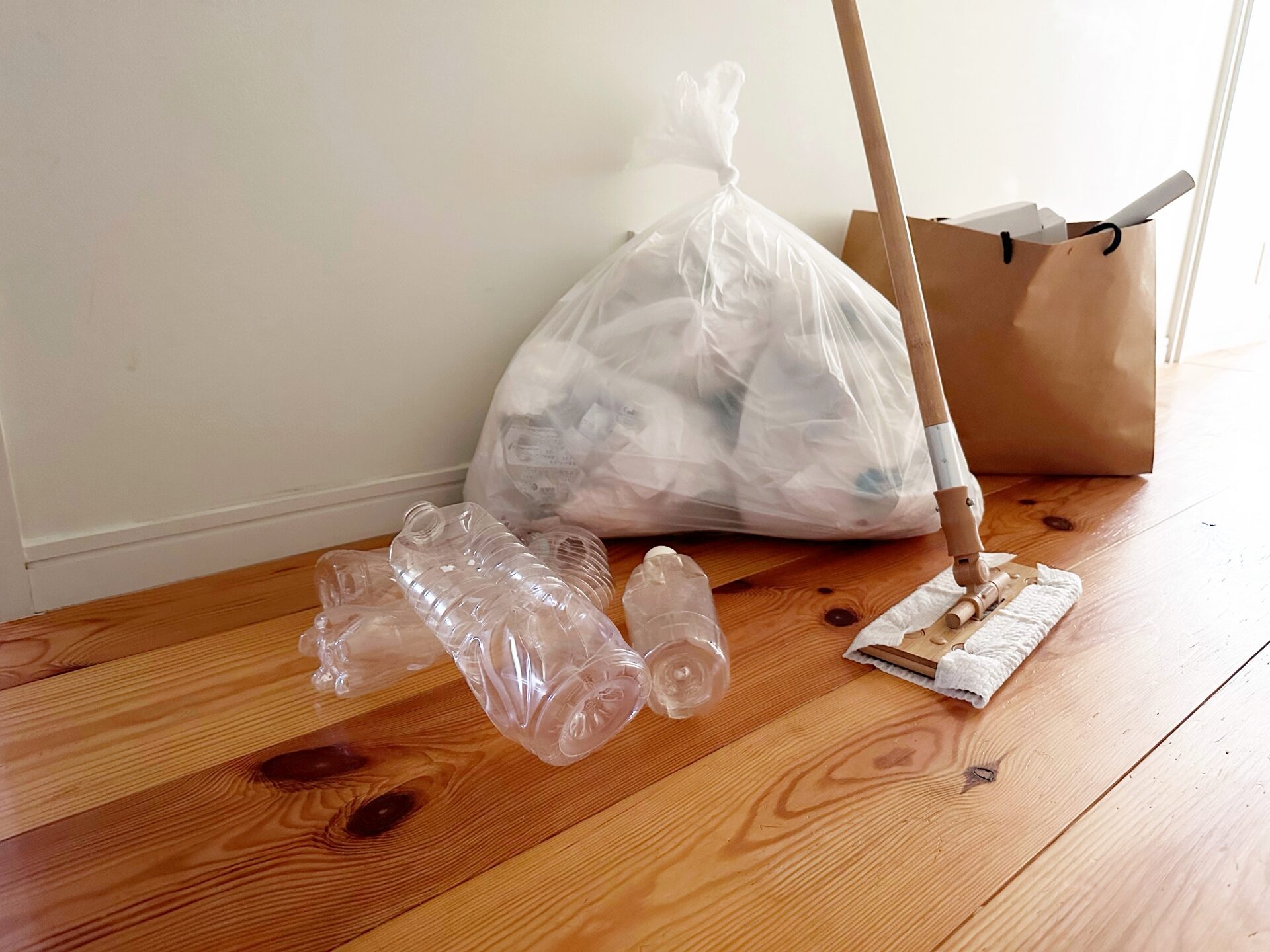 引っ越し前のごみ